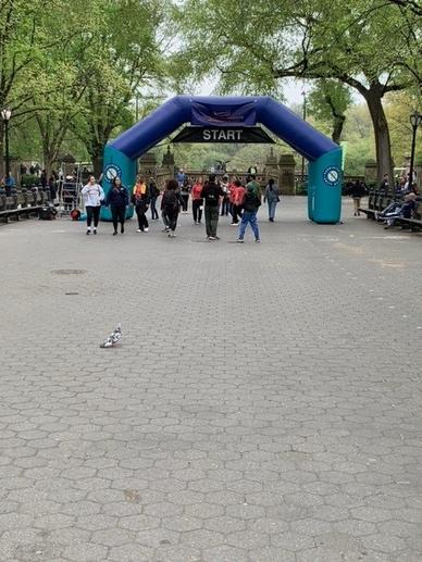 Starting line of the Parkinson's Unity Walk