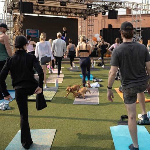 A group of people doing yoga outside