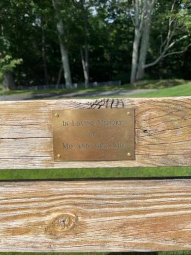 Bench with a plaque, named for Mrs. Mo