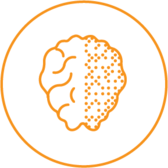illustraiton of a brain