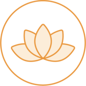 lotus flower