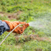 Man spraying herbicide