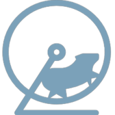 mouse illustration