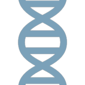 plasmid illustration