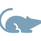 rat illustration
