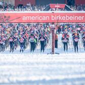 photo of skiers at a starting line