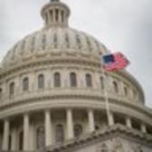 Capitol building in Washington D.C.
