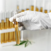 Marijuana in lab