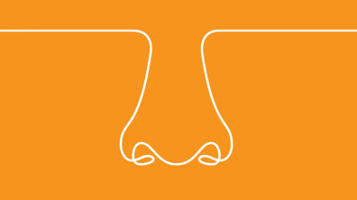 line drawing of a nose