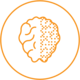 illustraiton of a brain