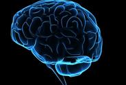 WSJ: New Results Suggest Deep Brain Stimulation Benefits Psychiatric Conditions