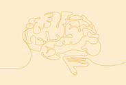 illustration of a brain