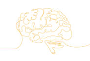 brain illustrated 