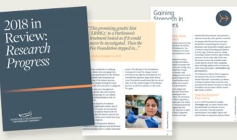 2018 in Review Research Progress