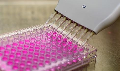 Biological assay in a 96-well plate