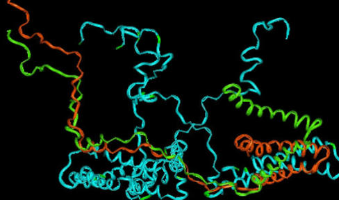 Alpha-Synuclein