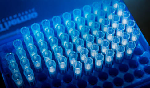 What We Fund: Proteins, Constipation and Dog Sniffing