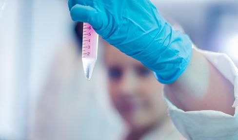 Uncovering the Promise of c-Abl as a Therapeutic Target: Testing Available Treatments and Supporting New Therapies