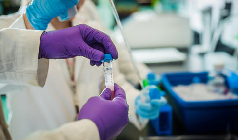 ogden 2016_lab test tube