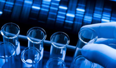 Close up of hand holding test tube