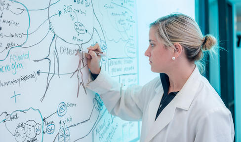Researcher writing on a white board