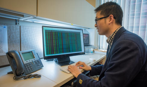 Ogden_data researcher.jpg