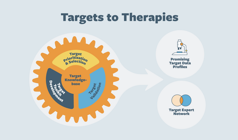 Targets to Therapies Image