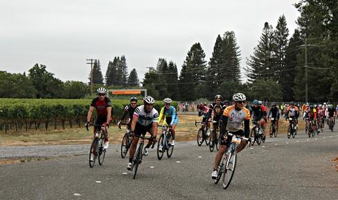 Calling All Walkers, Runners, Cyclists and Parkinson's Research Supporters!