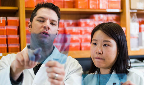 Two researchers in lab looking at samples