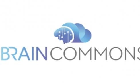 Brain Commons Logo