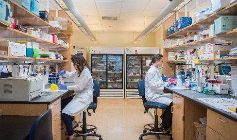 New Dyskinesia Drug Moving Forward in Clinical Testing