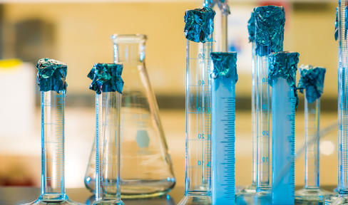 Test tubes in a research lab.