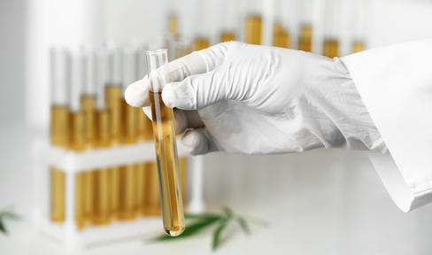 Researcher in lab holding test tube