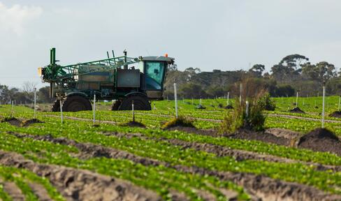 Truck sprays pesticide on crops.