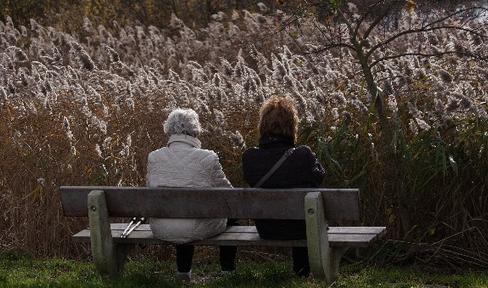5 Common Myths about Parkinson's Disease Caregiving