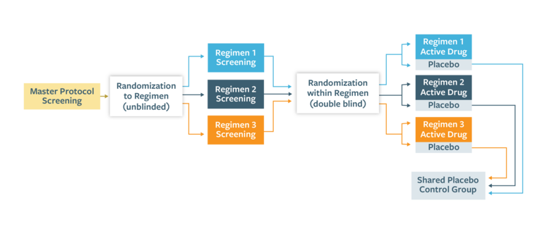 Path to Prevention Platform Trial Randomization Infographic