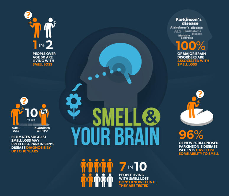 INFOGRAPHIC: Smell and Your Brain