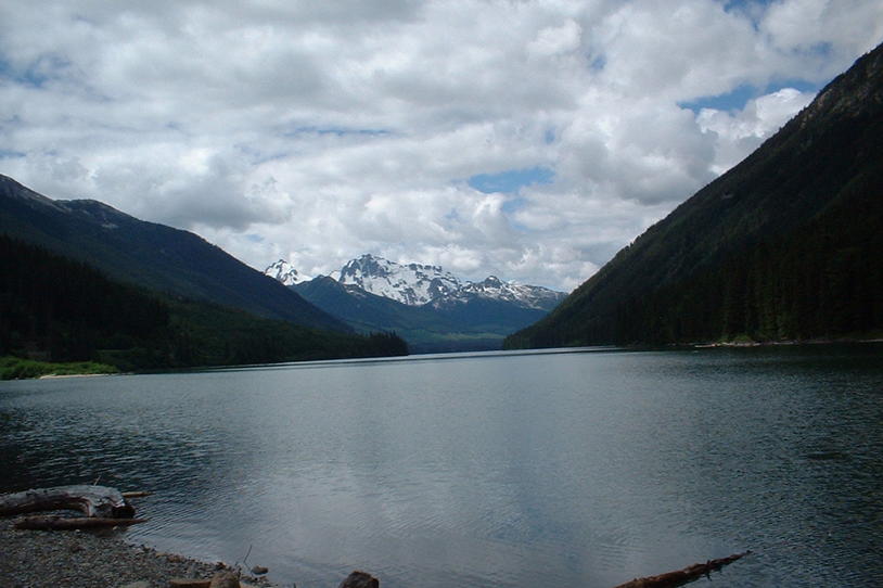 Global Community Conference on Parkinson’s Disease