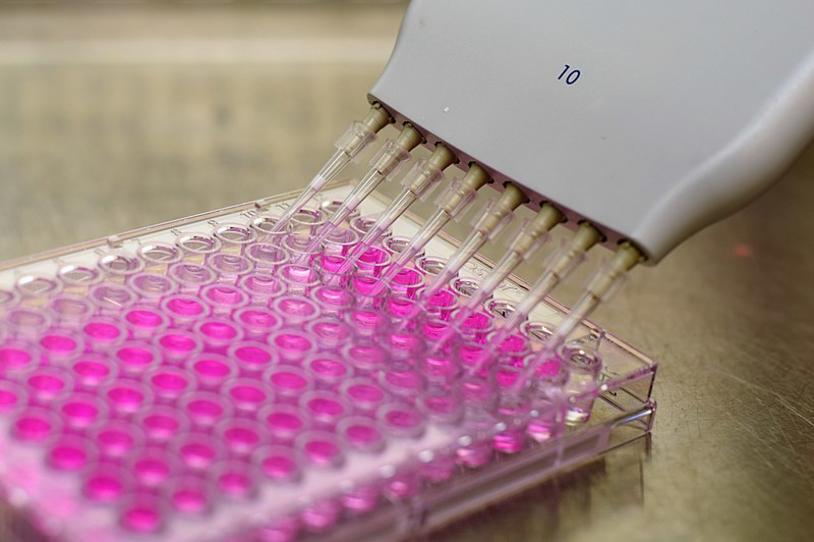 Biological assay in a 96-well plate