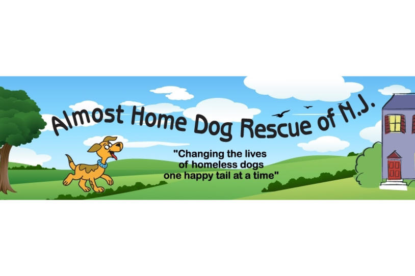 Dog Walking for Parkinson’s on October 14th!