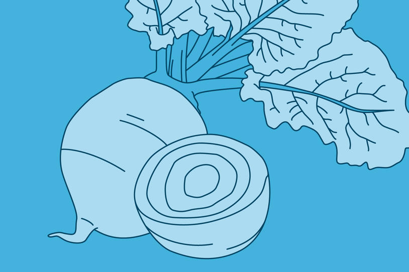 Parkinsons Disease Causes Quizlet minimalistisches Interieur