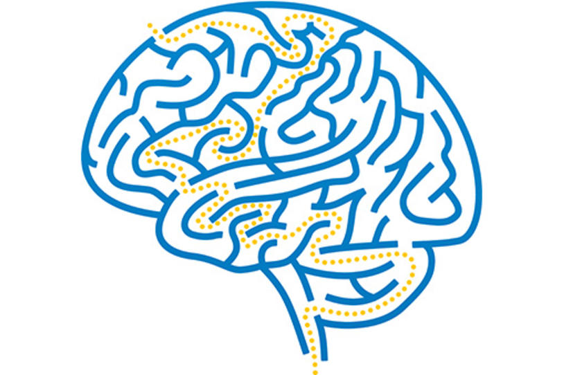 Brain Research Wins Lasker Award
