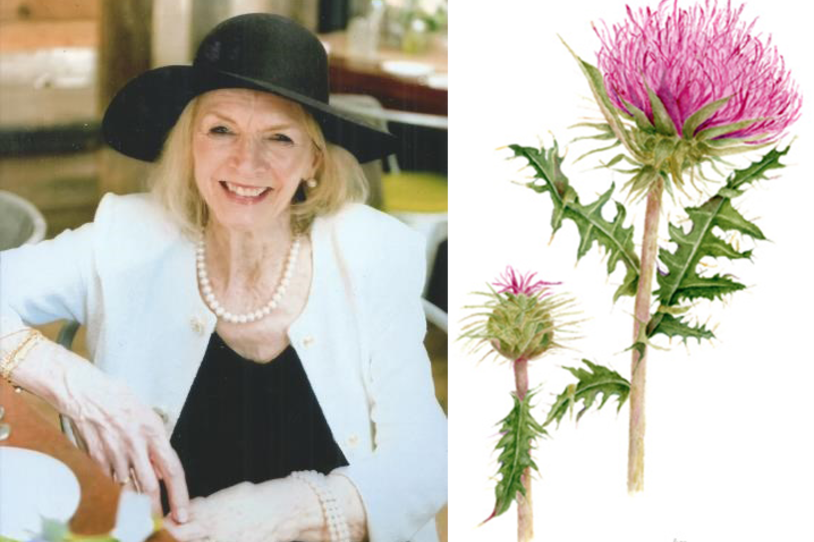 Brenda Aiken_Combined.png