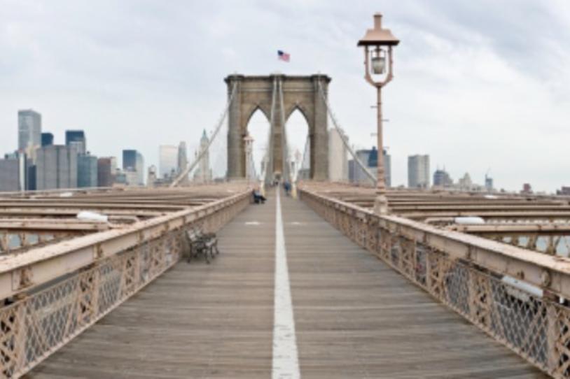 A Search for a Cure that Spans Bridges