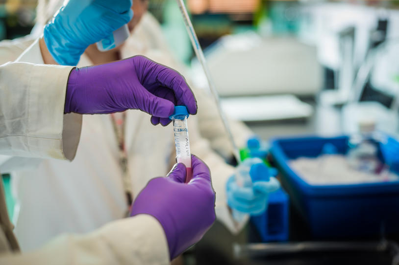 ogden 2016_lab test tube