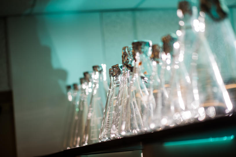 Beakers lined up.