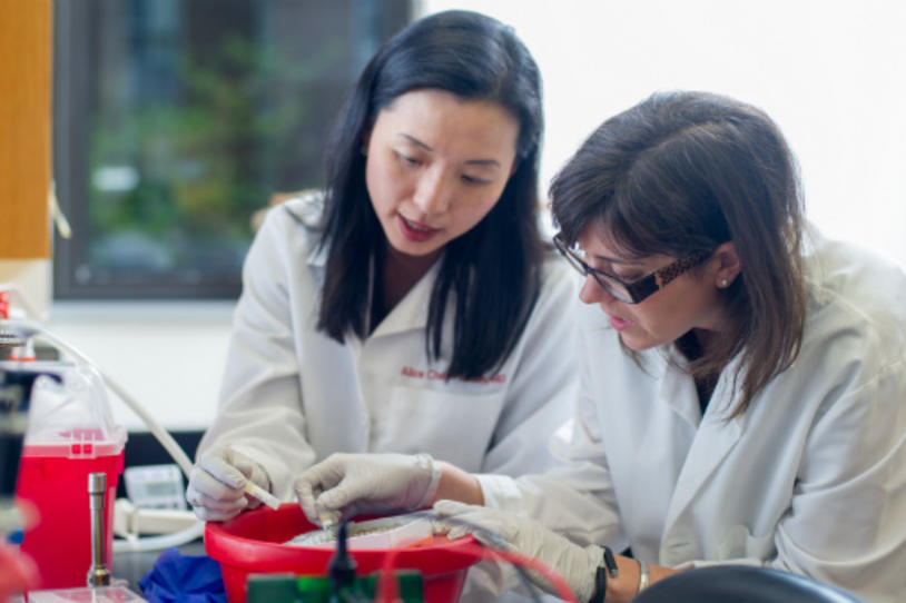 Enrollment Now Open for Nilotinib Clinical Trial in Parkinson's