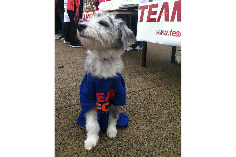 FOX FOTO FRIDAY: Meet Sophie, Our Newest Pup for Parkinson’s