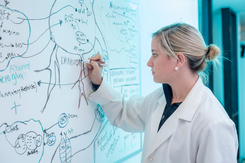 Ogden_Lab board.jpg