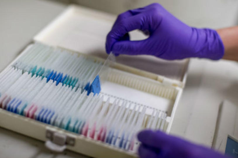 Research Team Reviews This Year’s Progress and Promise of 2016